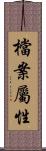 檔案屬性 Scroll