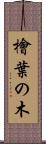 檜葉の木 Scroll
