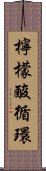 檸檬酸循環 Scroll