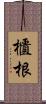 櫃根 Scroll