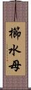 櫛水母 Scroll