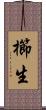 櫛生 Scroll