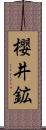 櫻井鉱 Scroll