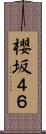 櫻坂４６ Scroll