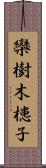 欒樹 Scroll