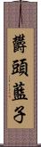 欝頭藍子 Scroll