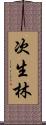 次生林 Scroll