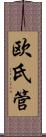 欧氏管 Scroll