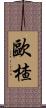 歐楂 Scroll