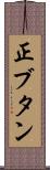 正ブタン Scroll