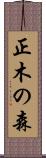 正木の森 Scroll
