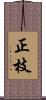 正枝 Scroll