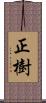 正樹 Scroll