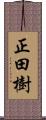 正田樹 Scroll