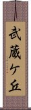 武蔵ケ丘 Scroll