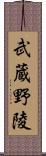 武蔵野陵 Scroll
