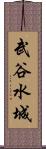武谷水城 Scroll