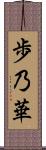 歩乃華 Scroll