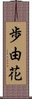 歩由花 Scroll