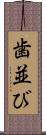 歯並び Scroll