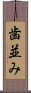 歯並み Scroll