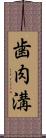 歯肉溝 Scroll