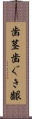 歯茎 Scroll