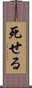 死せる Scroll
