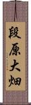 段原大畑 Scroll