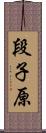 段子原 Scroll