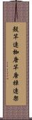 殻竿 Scroll