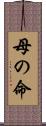 母の命 Scroll