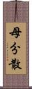 母分散 Scroll
