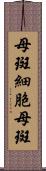 母斑細胞母斑 Scroll