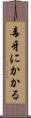 毒牙にかかる Scroll