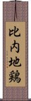 比内地鶏 Scroll