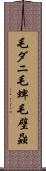 毛ダニ Scroll