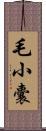 毛小囊 Scroll