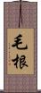 毛根 Scroll