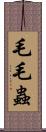 毛毛蟲 Scroll