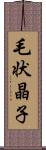 毛状晶子 Scroll