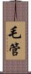 毛管 Scroll