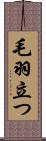 毛羽立つ Scroll