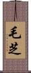 毛芝 Scroll