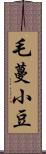 毛蔓小豆 Scroll