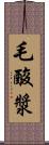 毛酸漿 Scroll