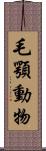 毛顎動物 Scroll