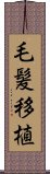 毛髪移植 Scroll