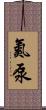 氮泵 Scroll
