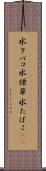 水タバコ Scroll